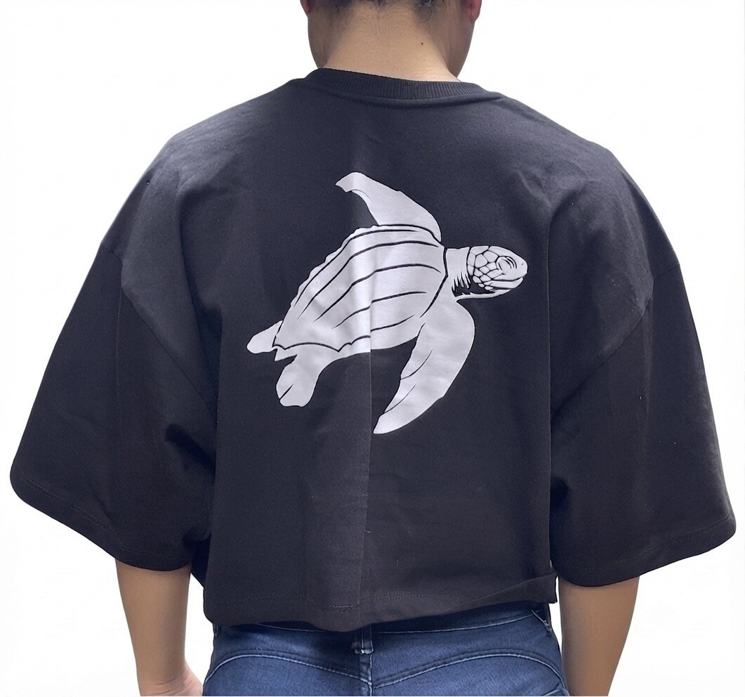 Cropped Turtle Sea — costas